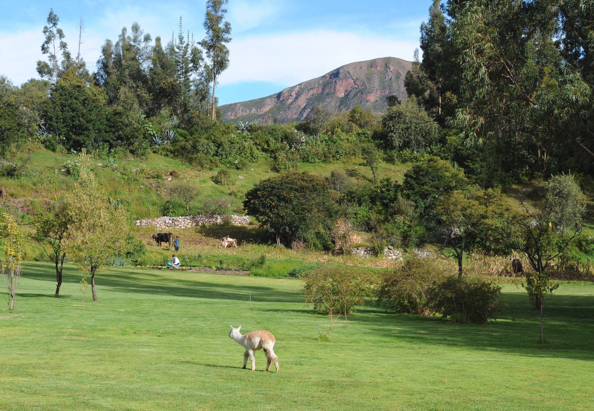 Rio Sagrado, A Belmond Hotel, Sacred Valley ウルバンバ エクステリア 写真